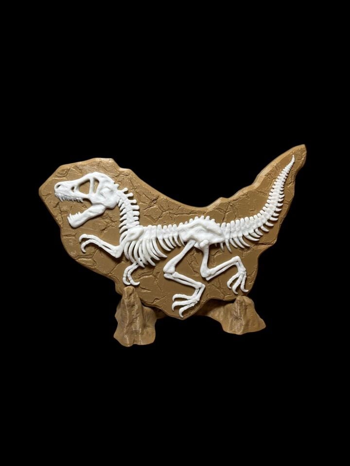 Velociraptor Fosil Biblo