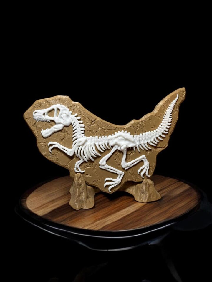 Velociraptor Fosil Biblo